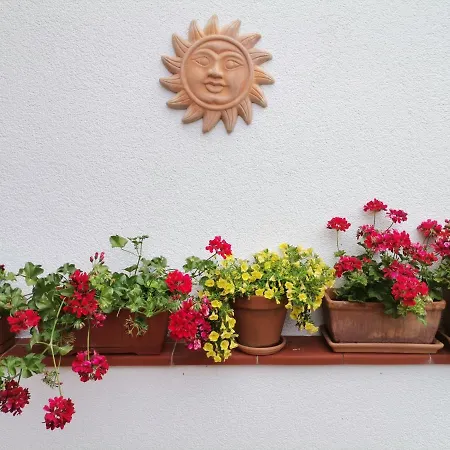 Mirna Apartament Umag