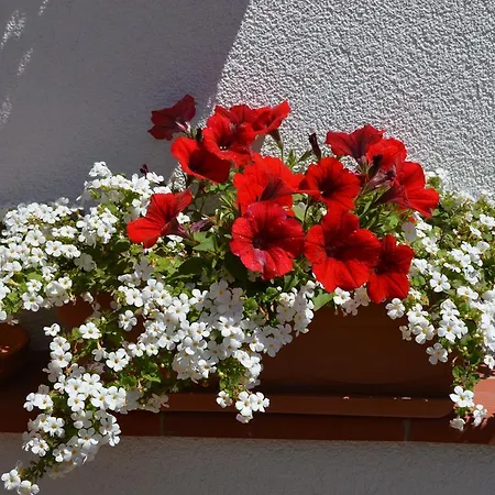 Mirna Apartament *